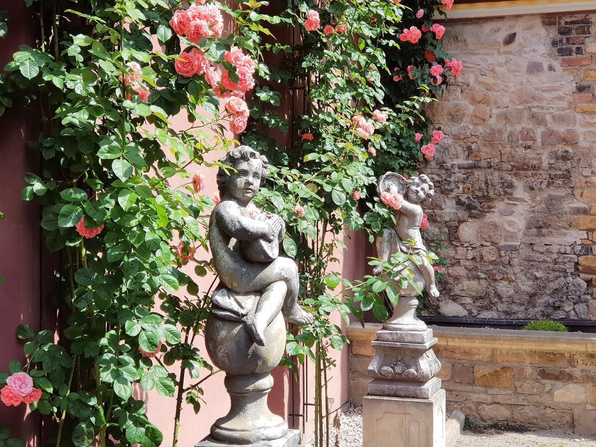 Le 1615 - Luxe Et Spa Colmar Exterior foto